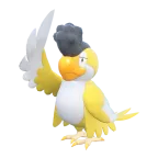 시비꼬_옐로 페더