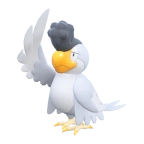 시비꼬_화이트 페더