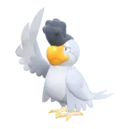 시비꼬_화이트 페더