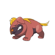 포켓몬 마피티프 연관 포켓몬 942