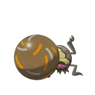 포켓몬 베라카스 연관 포켓몬 953