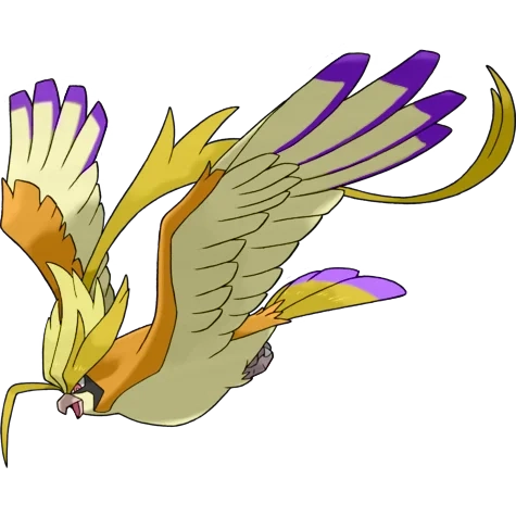 노말/비행 타입 포켓몬 메가피죤투 이로치의 이미지