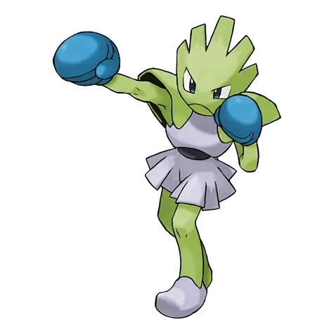 격투 타입 포켓몬 홍수몬 이로치의 이미지