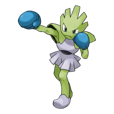 격투 타입 포켓몬 홍수몬 이로치의 이미지