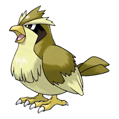 노말/비행 타입 포켓몬 구구 이로치의 이미지
