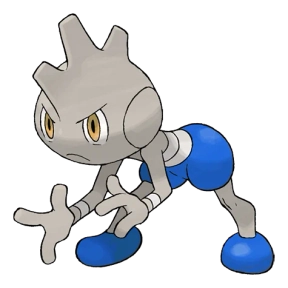 격투 타입 포켓몬 배루키 이로치의 이미지