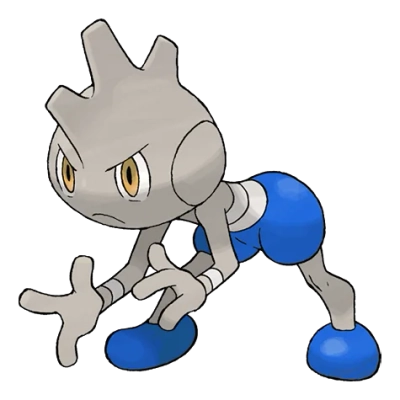 격투 타입 포켓몬 배루키 이로치의 이미지