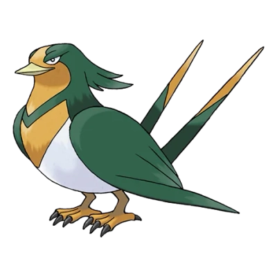 노말/비행 타입 포켓몬 스왈로 이로치의 이미지