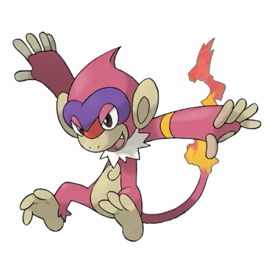 불꽃/격투 타입 포켓몬 파이숭이 이로치의 이미지