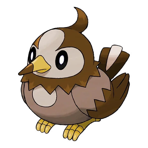 노말/비행 타입 포켓몬 찌르꼬 이로치의 이미지