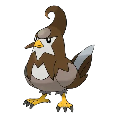 노말/비행 타입 포켓몬 찌르버드 이로치의 이미지