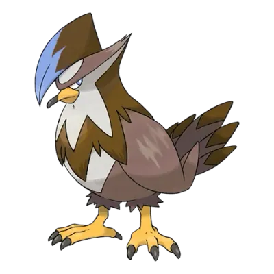 노말/비행 타입 포켓몬 찌르호크 이로치의 이미지