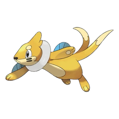 물 타입 포켓몬 브이젤 이로치의 이미지