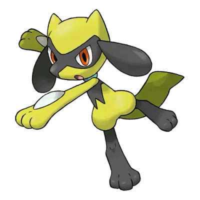 격투 타입 포켓몬 리오르 이로치의 이미지