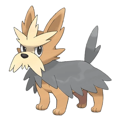 노말 타입 포켓몬 하데리어 이로치의 이미지