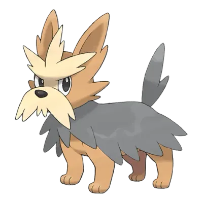 노말 타입 포켓몬 하데리어 이로치의 이미지