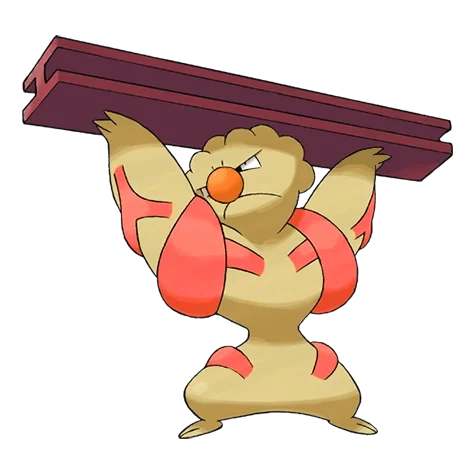 격투 타입 포켓몬 토쇠골 이로치의 이미지