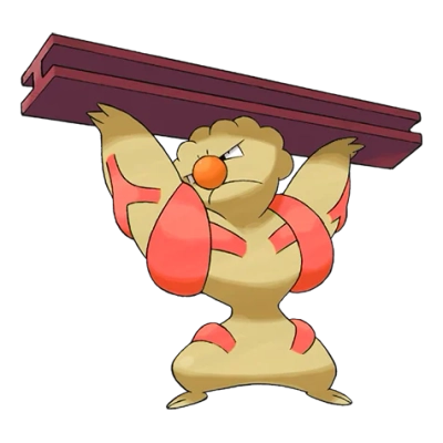 격투 타입 포켓몬 토쇠골 이로치의 이미지