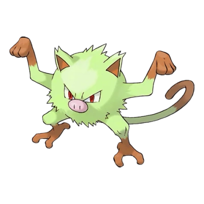 격투 타입 포켓몬 망키 이로치의 이미지