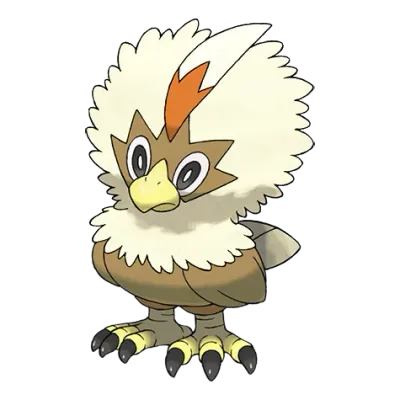 노말/비행 타입 포켓몬 수리둥보 이로치의 이미지