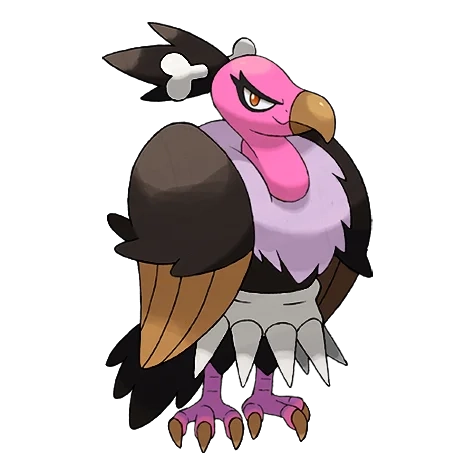 악/비행 타입 포켓몬 버랜지나 이로치의 이미지