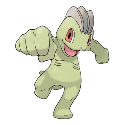 격투 타입 포켓몬 알통몬 이로치의 이미지