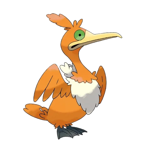 비행/물 타입 포켓몬 윽우지 이로치의 이미지