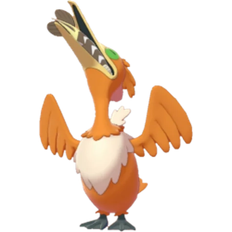 비행/물 타입 포켓몬 윽우지 이로치의 이미지