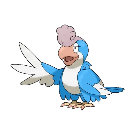 노말/비행 타입 포켓몬 시비꼬 이로치의 이미지